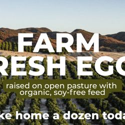 Amarith Farmhouse Cafe - Don't miss out on fresh eggs from our farm in Temecula!