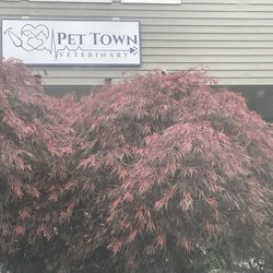 Pet Town Vet