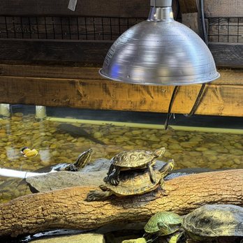Floating Sea Aquatics - Themed Cafes Near Me - Jacksonville, Florida
