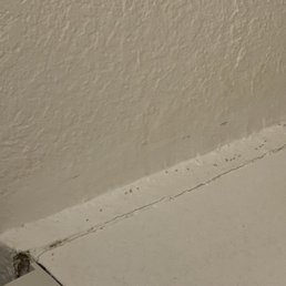 Ants marching
