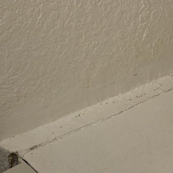 Hampton Inn Naples-Central - Ants marching - Hotels Near Me - Naples, Florida