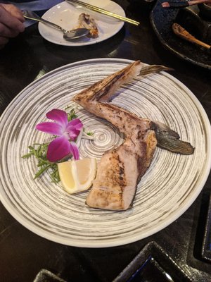 Purple Shell Boston by null