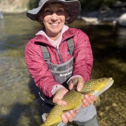 Aspen Outfitting Company