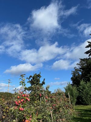 Beilke Family Farm by null