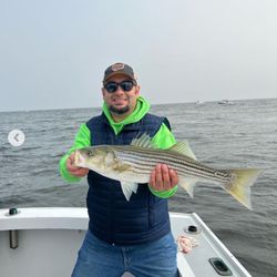 Mistie C Charters - Striped Bass