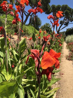 Jardíns de Cap Roig by null