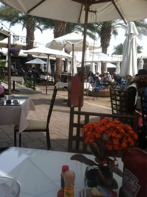 The Cafe at Shields by null