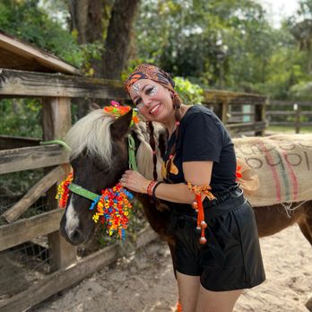 MM Equestrian Farm - Halloween at the barn with Jasper the pony - Horseback Riding Near Me - North Miami, Florida MM Equestrian Farm - Halloween at the barn with Jasper the pony - Horseback Riding Near Me - North Miami, Florida