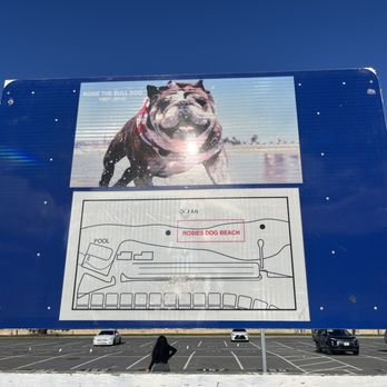 Rosie's Dog Beach - Rosie the Bulldog - Dog Parks Near Me - Long Beach, California Rosie's Dog Beach - Rosie the Bulldog - Dog Parks Near Me - Long Beach, California