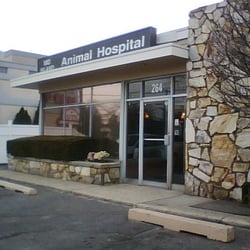 Bay Street Emergency Vet Staten Island Wildlife Rehab For Goose