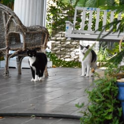 Creative House - Top flight security team, providing safety for all customers.