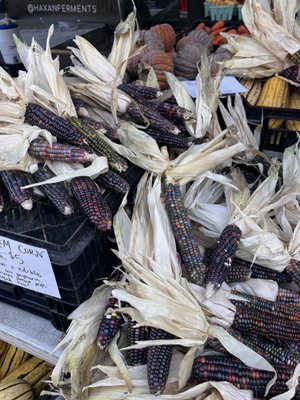University District Farmers Market by null