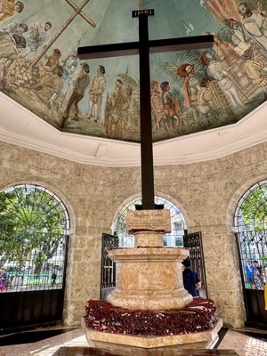 Magellan's Cross by null