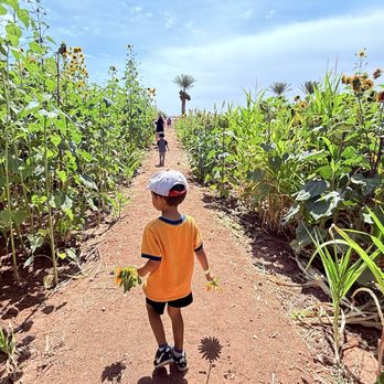 Vertuccio Farms - Farmers Market Near Me - Mesa, Arizona
