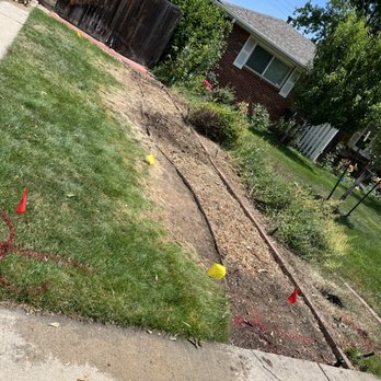 Premier Stump Grinding - And here's how it looked after everything was done! - Tree Services Near Me Premier Stump Grinding - And here's how it looked after everything was done! - Tree Services Near Me
