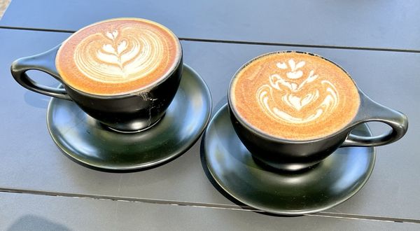 MoonGoat Coffee by null