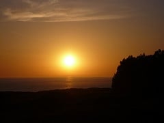 Costanoa by null
