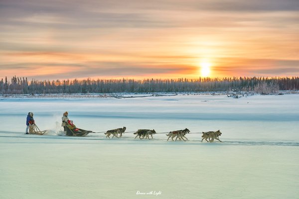 Alaska Homestead Adventures by null
