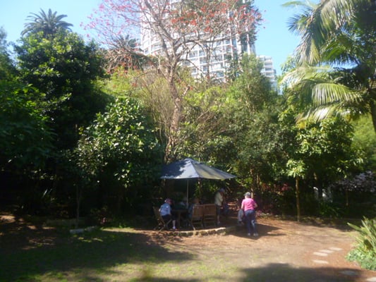 Wendy Whiteley's Secret Garden by null