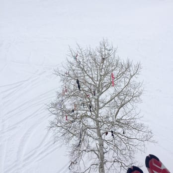 Buttermilk Ski Resort - Bra/Panty Tree - where girls throw them on there lol - Ski Resorts Near Me - Aspen, Colorado