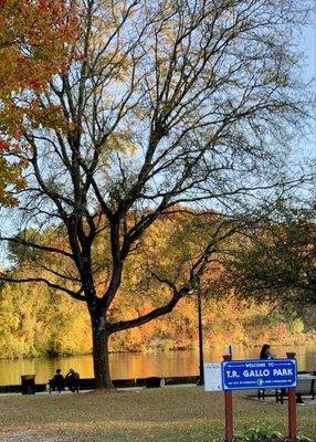 TR Gallo Waterfront Park by null