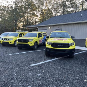 Mack Pest Solutions - Pest Control Near Me - Greenville, South Carolina Mack Pest Solutions - Pest Control Near Me - Greenville, South Carolina