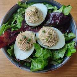 MERSEA Beaupassage - Eggs with tuna and salad