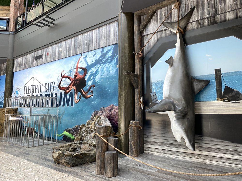 ELECTRIC CITY AQUARIUM AND REPTILE DEN Updated August 2024 57