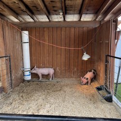 Reed's Dairy