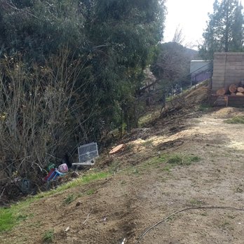 G Salinas Landscaping and Tree Services - After tree and bush removal - a clean slope. And they were cool enough to cut the trees into firewood for me! - Landscaping Near Me - Littlerock, California G Salinas Landscaping and Tree Services - After tree and bush removal - a clean slope. And they were cool enough to cut the trees into firewood for me! - Landscaping Near Me - Littlerock, California