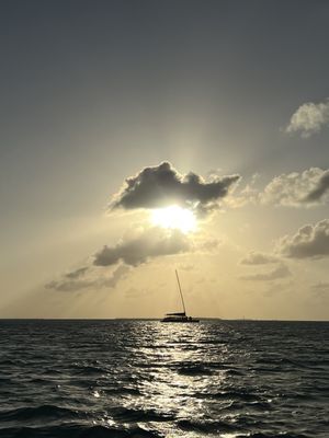 Danger Charters by null