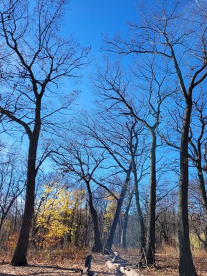 Urban Ecology Center - Riverside Park by null