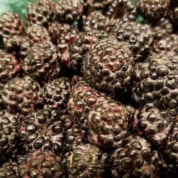 Lewin Farms - Black raspberry - Pick Your Own Farms Near Me - Calverton, New York Lewin Farms - Black raspberry - Pick Your Own Farms Near Me - Calverton, New York