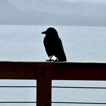 Duck Point Smokehouse Restaurant - Local relaxing on the patio - Smokehouse Near Me - Hoonah, Alaska Duck Point Smokehouse Restaurant - Local relaxing on the patio - Smokehouse Near Me - Hoonah, Alaska