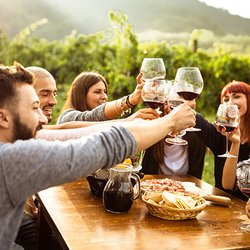 Temecula Wine Country Experiences