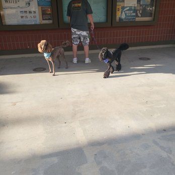 Tejon Pass Rest Area I-5 NB - My dogs at historical info area. - Public Services & Government Near Me - Lebec, California Tejon Pass Rest Area I-5 NB - My dogs at historical info area. - Public Services & Government Near Me - Lebec, California