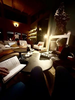 Paperbark Camp by null