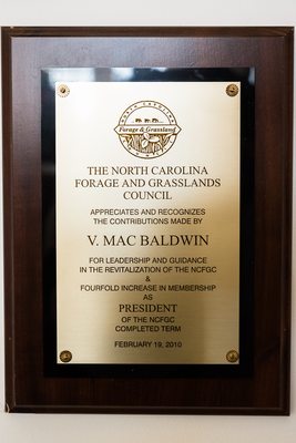 Baldwin Beef by null
