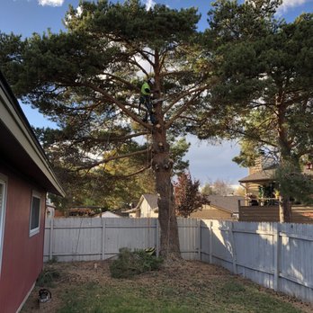 Parker Tree Service - Tree Services Near Me - Caldwell, Idaho