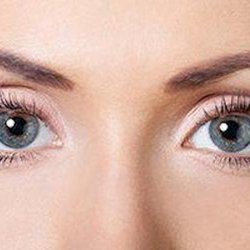 Eye Health Center of Troy