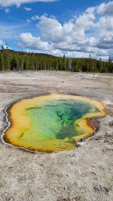 Biscuit Basin by null