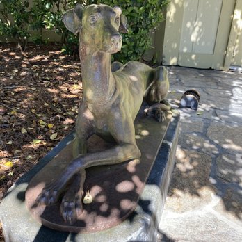 White Oak - One of two hounds poised near the studio - Animal Shelters Near Me - Yulee, Florida White Oak - One of two hounds poised near the studio - Animal Shelters Near Me - Yulee, Florida
