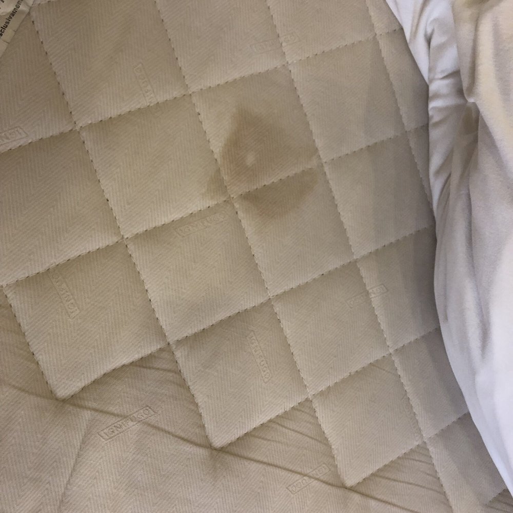 Hotel Stella - Stained mattress - Hotels Near Me - Rome, RM