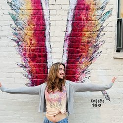 Artemis Gallery - Collette Miller wings