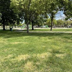Playground area