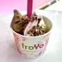 Photo of FroYo Frozen Yogurt