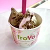FroYo Frozen Yogurt gift card