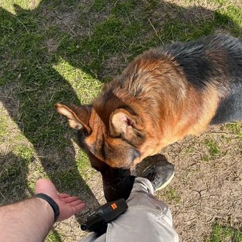 Pappy's Pet Lodge - Dog Walkers Near Me - Addison, Texas