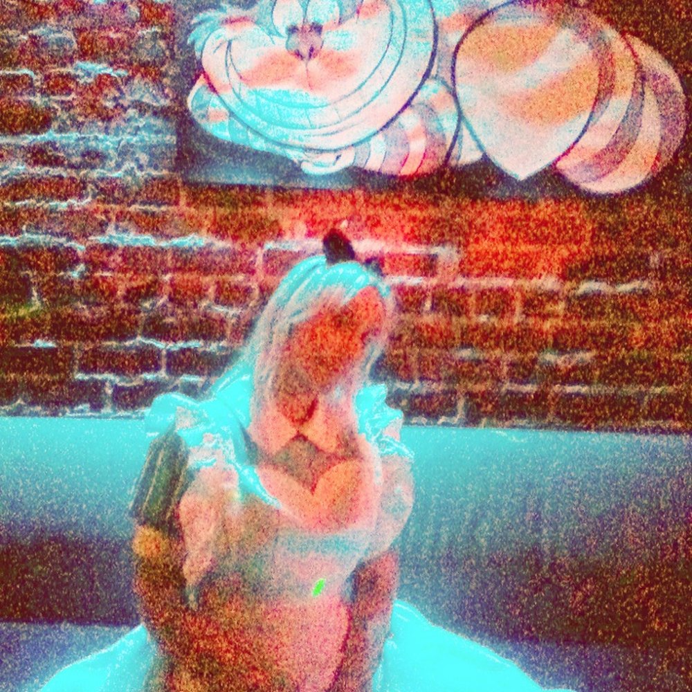 Cat Club - "Wonderland" Dark Shadows - Alice is being watched diligently by our smiling feline... - Dance Clubs Near Me - San Francisco, California Cat Club - "Wonderland" Dark Shadows - Alice is being watched diligently by our smiling feline... - Dance Clubs Near Me - San Francisco, California