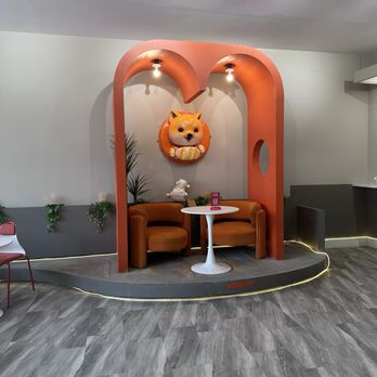 Vget Cafe - Cafes Near Me - Columbus, Ohio